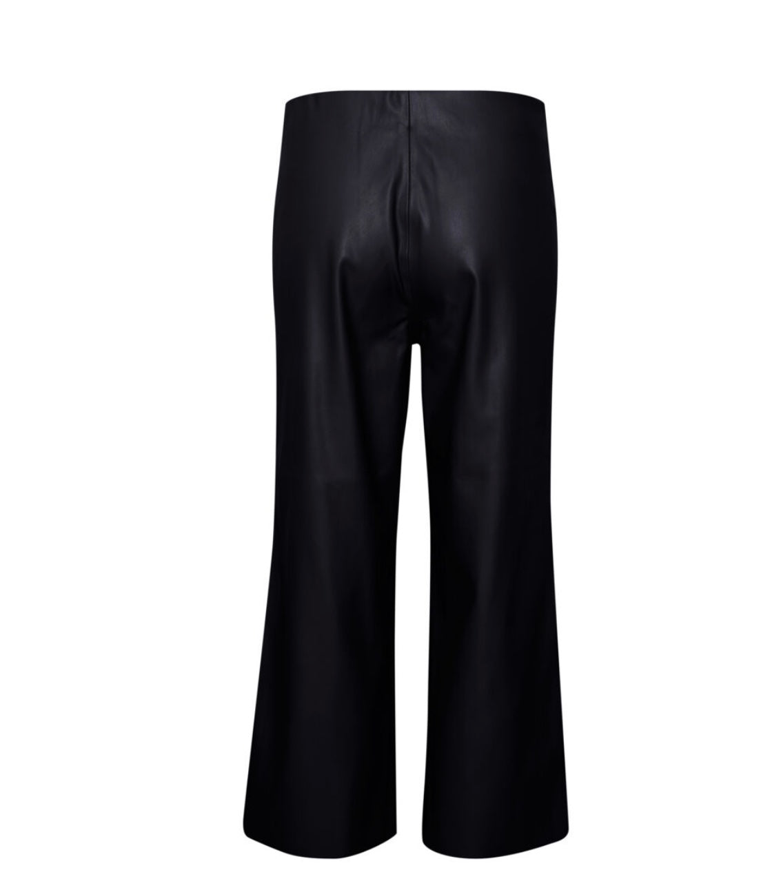 Dana Faux Leather Pants | Black