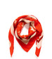 Khloe Scarf
