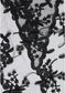 Lacey Scarf | Black
